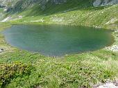 Salita da Carona in Val Sambuzza fino, per alcuni, al Passo di Publino e al Pizzo Zerna il 4 luglio 2010 - FOTOGALLERY